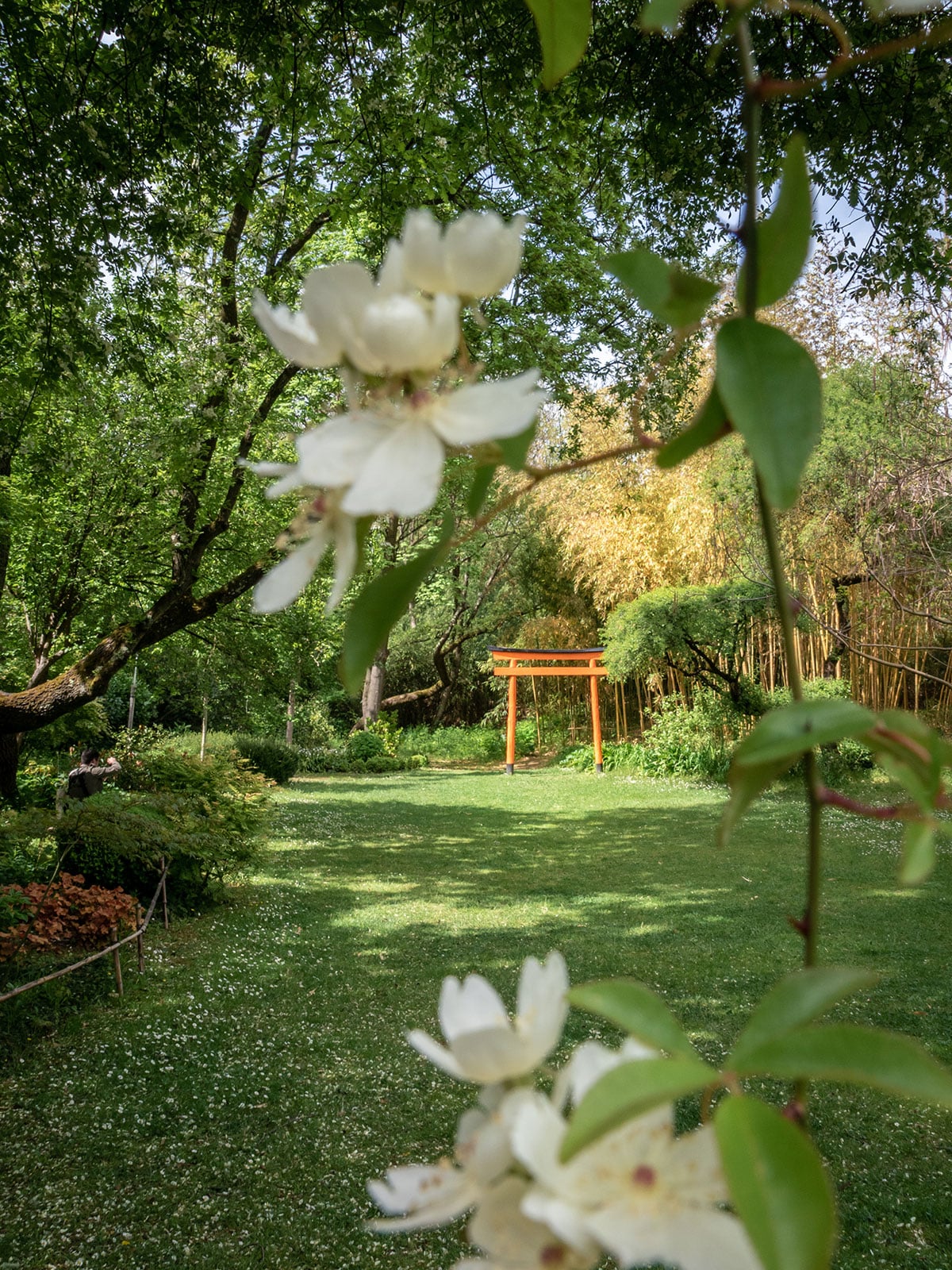 Activité detente , jardin zen erik borja